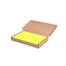 Lamellen aus Buche zum Basteln mit Kindern, neon gelb, 25 cm, 100 Stück